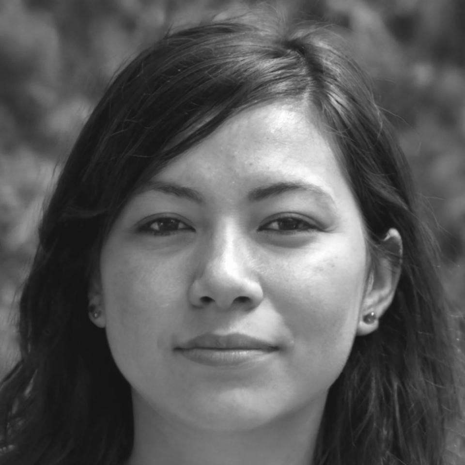 Portraitfoto von Dr. Johanna Lindström, Leiterin für erklärbare KI-Systeme